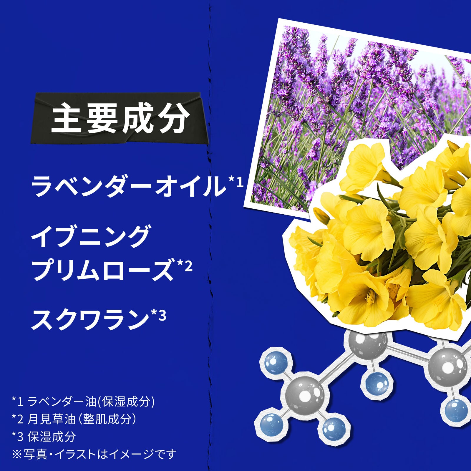 キールズ ミッドナイトボタニカル アイ | アイケア | キールズ公式